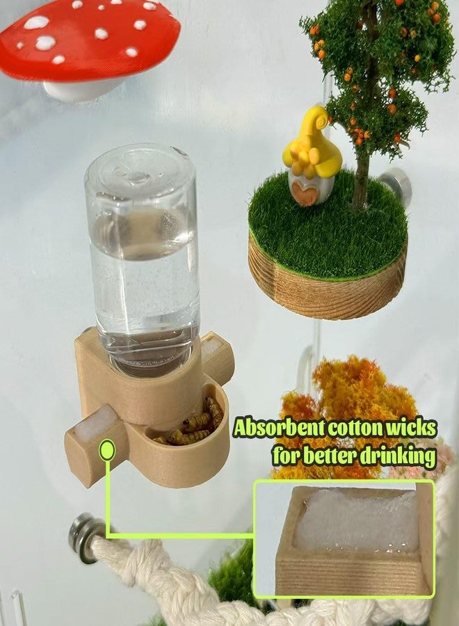 Julang Jumping Spider Accessories, Jumping Spider Water Dispenser, Magnetic Hanging Feeder with Tweezers for Jumping Spiders, Tarantulas, Praying, Mantises (Beige) - Image 3